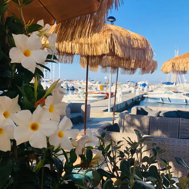 Moment au Flibustier Port de Taverna 21