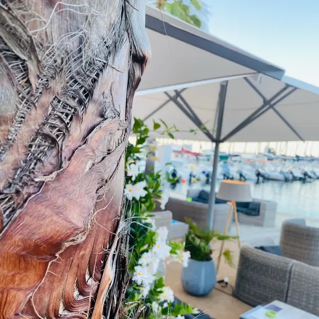 Moment au Flibustier Port de Taverna 28